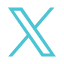 X social icon